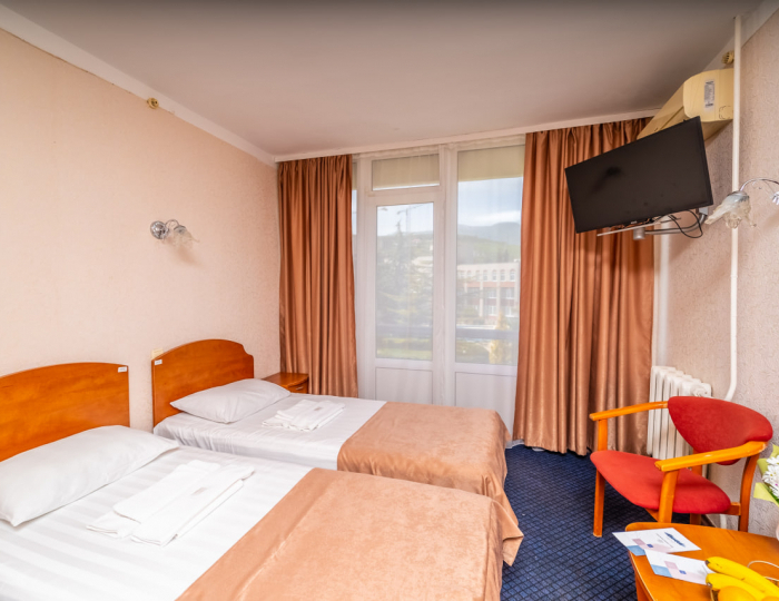 Стандарт 2-местный 1-комнатный - «Славутич» (корпус Восход) санаторий