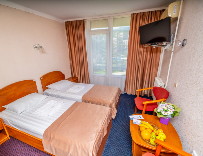 Стандарт 2-местный 1-комнатный - «Славутич» (корпус Восход) санаторий