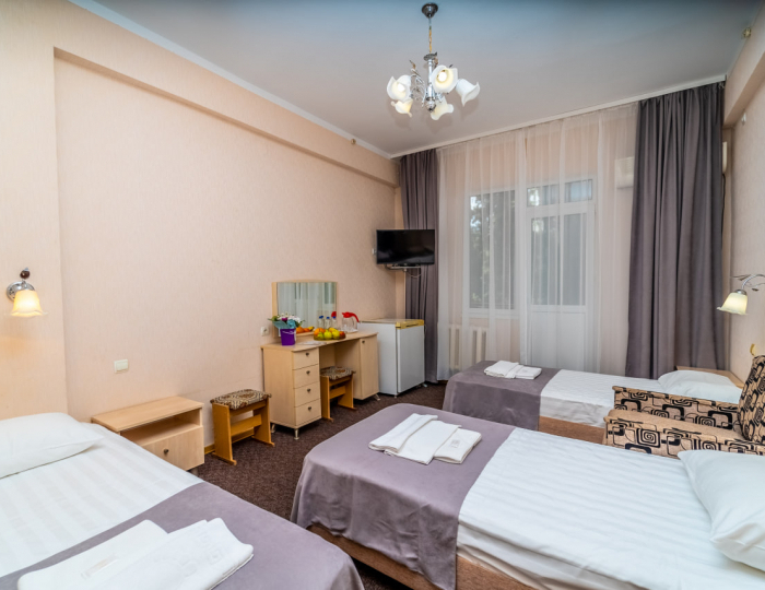 Стандарт 3-местный 1-комнатный - «Славутич» (корпус Восход) санаторий