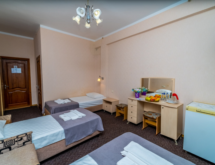 Стандарт 3-местный 1-комнатный - «Славутич» (корпус Восход) санаторий