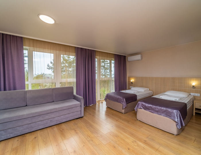 Улучшенный 2-местный 1-комнатный - «Славутич» (корпус Восход) санаторий