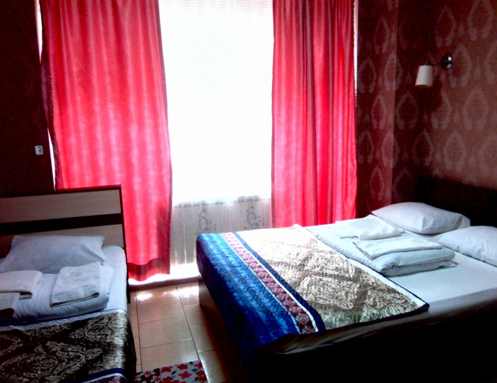 2-местный номер стандарт - Мини-отель «Шанс» Элиста