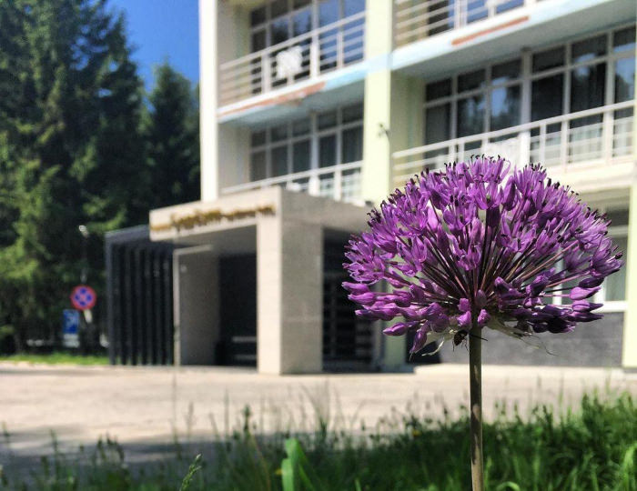 Отель «Берёзки» Чебоксары