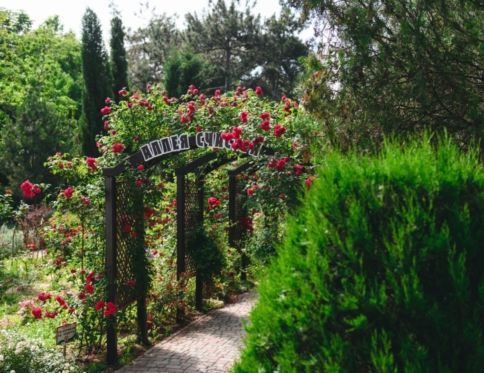 Санаторий «Полтава-Крым»