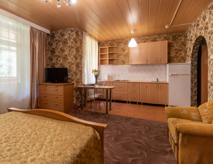 Номер студия стандарт - Апарт-отель «Нагорное» Химки