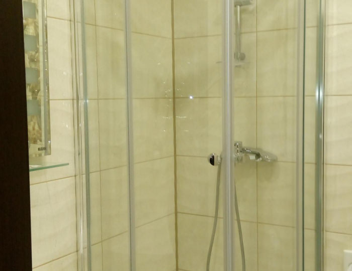 Номер студия - Мини-отель «Голд Шарк Шереметьево» Химки