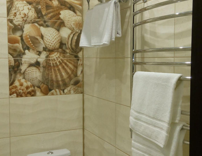 Номер студия - Мини-отель «Голд Шарк Шереметьево» Химки