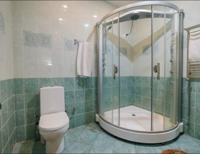 Студия "Мазепа" - Отель «Петровский дворик» Воздвиженское