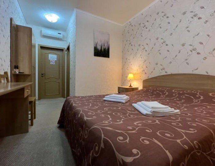 Номер стандарт с 1 двуспальной кроватью - Мини-отель «На Славского» Белокуриха
