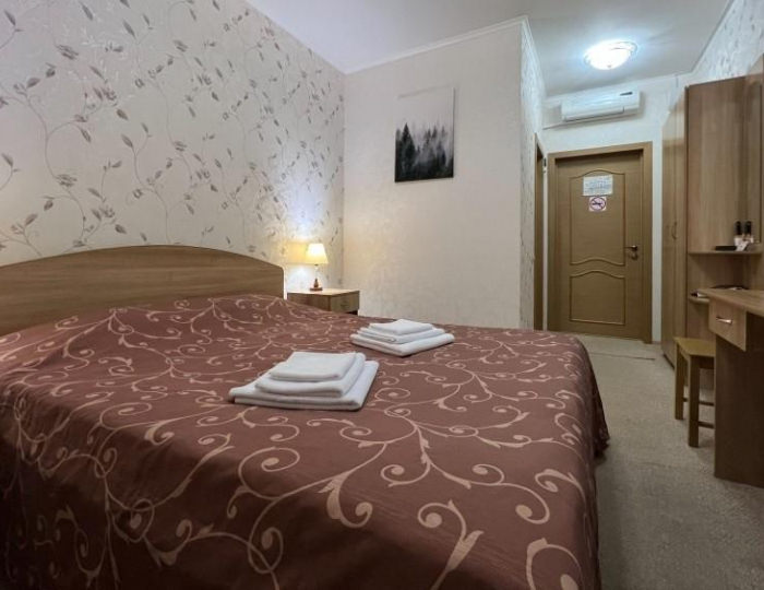 Номер стандарт с 1 двуспальной кроватью - Мини-отель «На Славского» Белокуриха