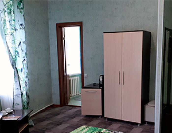 Номер стандарт с 1 двуспальной кроватью #1 - Мини-отель «Эврика» Белокуриха