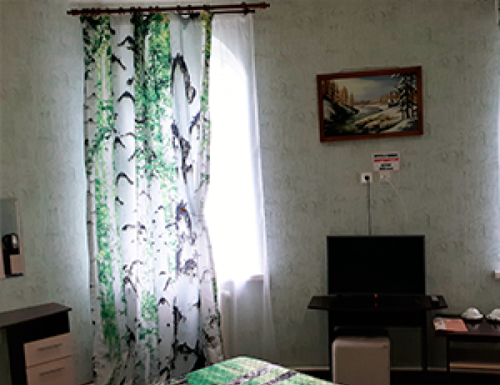 Номер стандарт с 1 двуспальной кроватью #1 - Мини-отель «Эврика» Белокуриха