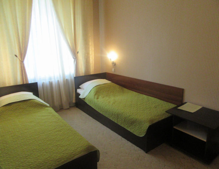 Номер стандарт с 2 односпальными кроватями #2 - Мини-отель «Эврика» Белокуриха