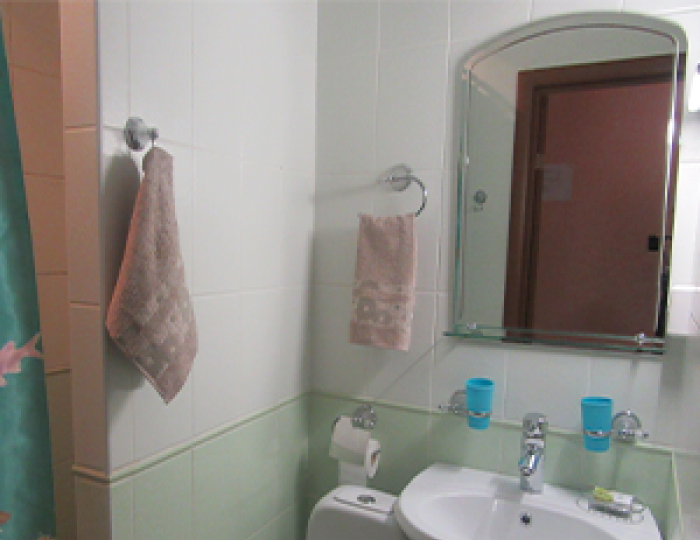 Номер стандарт с 2 односпальными кроватями #3 - Мини-отель «Эврика» Белокуриха