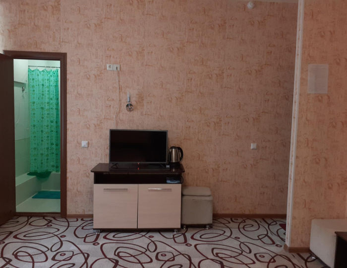 Номер стандарт с 1 двуспальной кроватью #4 - Мини-отель «Эврика» Белокуриха