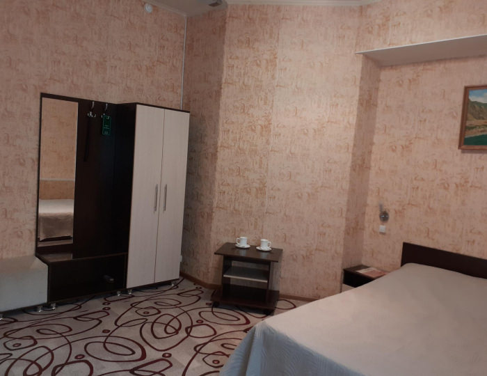 Номер стандарт с 1 двуспальной кроватью #4 - Мини-отель «Эврика» Белокуриха