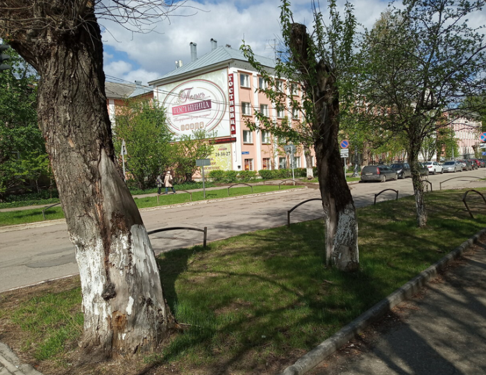 Отель «Пелысь» Сыктывкар