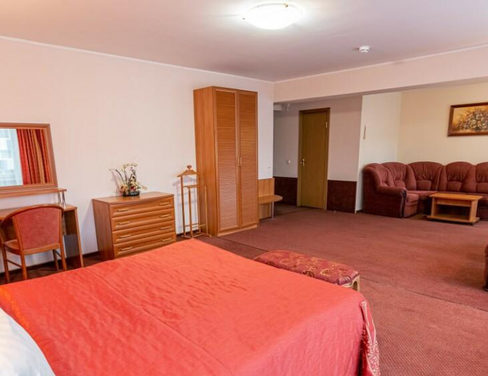 FIT номер люкс с 1 двуспальной кроватью - Отель «Академическая» Москва