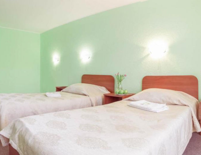 Номер эконом с 2 односпальными кроватями - Отель «Байкал» Москва