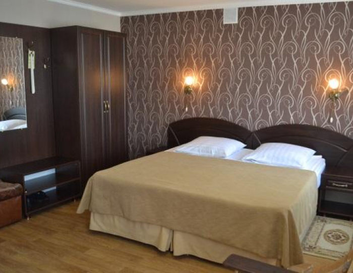 1-комнатный номер стандарт с 1 двуспальной кроватью - Отель «Знаменск»