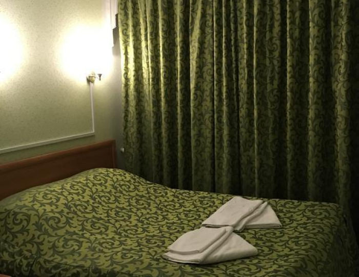 Номер стандарт с 1 двуспальной кроватью - Отель «Лианозовский» Москва