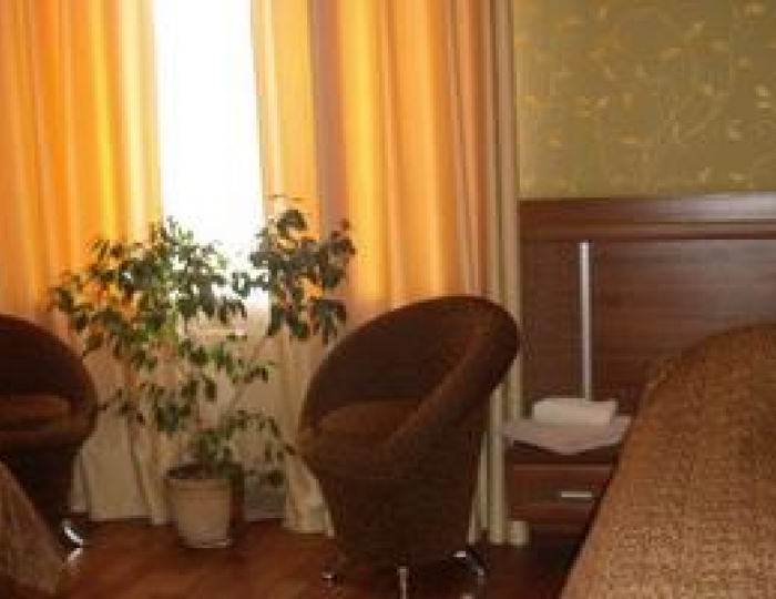 Номер стандарт с 1 двуспальной кроватью - Мини-отель Гранд Отель / Корпус Гранд Павловск