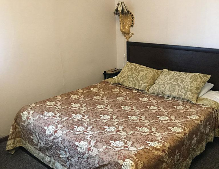 Номер "1920" (с завтраком) - Мини-отель «Вороново-Клубъ» Вороново