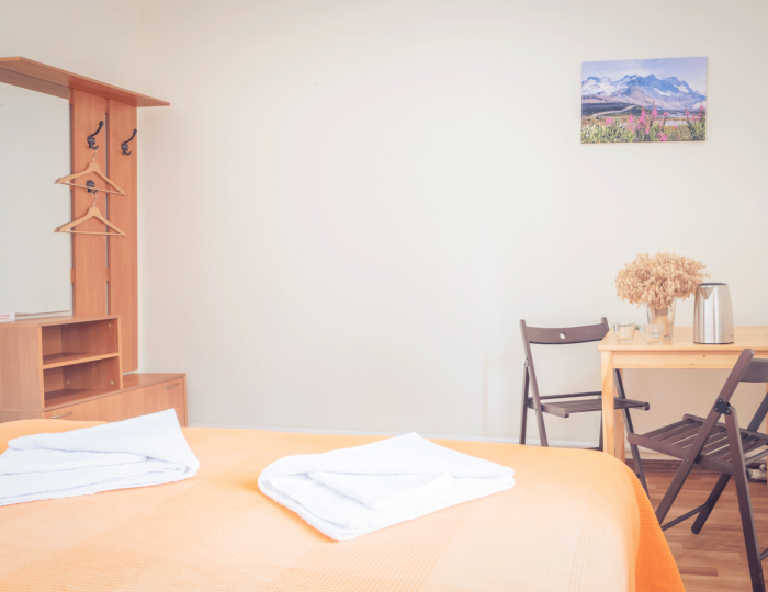 Номер стандарт эконом с 1 двуспальной кроватью - База отдыха «Ковчег» Усть-Кокса