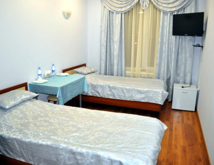 Номер эконом с 2 односпальными кроватями - Мини-отель «Артик» Отрадное