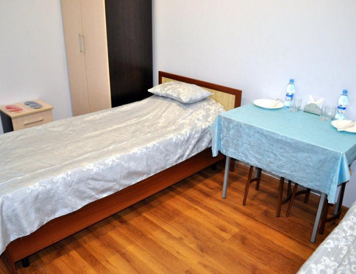 Номер эконом с 2 односпальными кроватями - Мини-отель «Артик» Отрадное