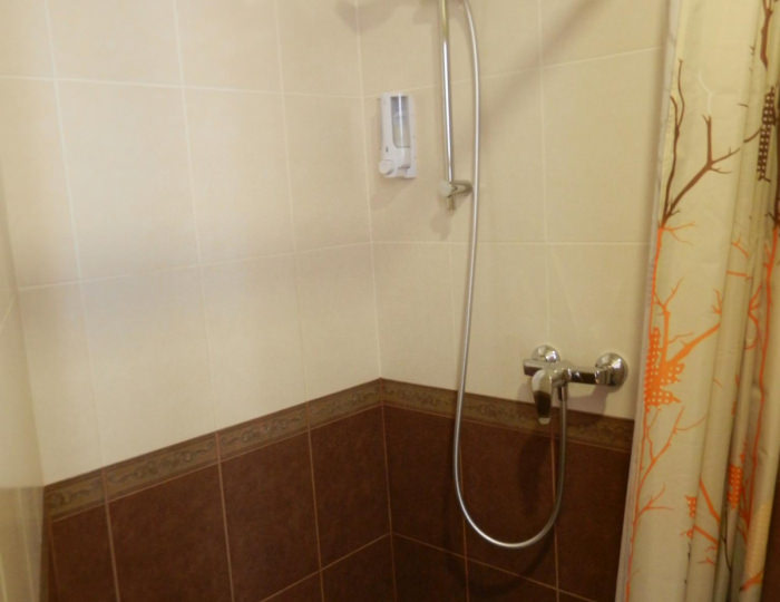 Номер стандарт семейный - Мини-отель «Артик» Отрадное