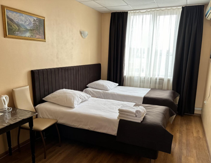 2-местный номер стандарт с 2 односпальными кроватями - Мини-отель «Артик» Отрадное