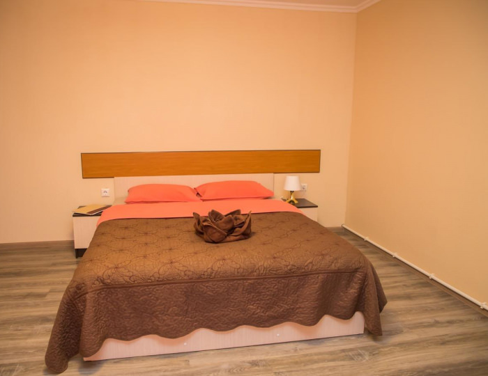 Номер стандарт с 1 двуспальной кроватью (мансарда) #8 - Мини-отель «Кашира» Кашира