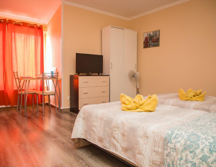 Номер стандарт с 2 односпальными кроватями (мансарда) #11 - Мини-отель «Кашира» Кашира