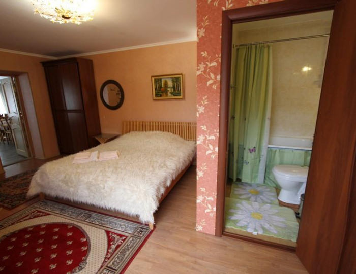 Номер улучшенный - База отдыха «Островок» Паратунка