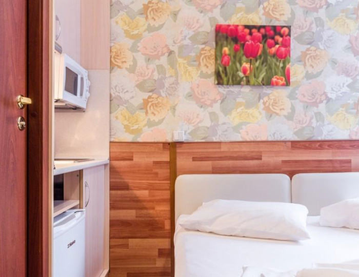 1-местный номер стандарт просторный - Отель «Арфа на Рязанском Проспекте» Москва