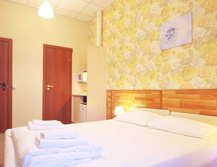 2-местный номер студия делюкс - Отель «Арфа на Рязанском Проспекте» Москва