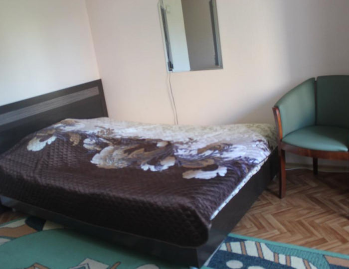 Номер люкс с 1 двуспальной кроватью - Мини-отель «Заполярье» Полярные зори