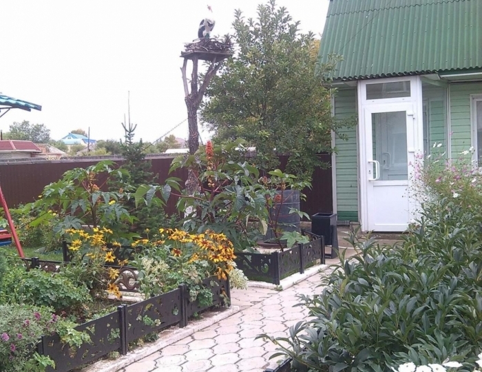 Мини-отель «Юбилейная» Горняк