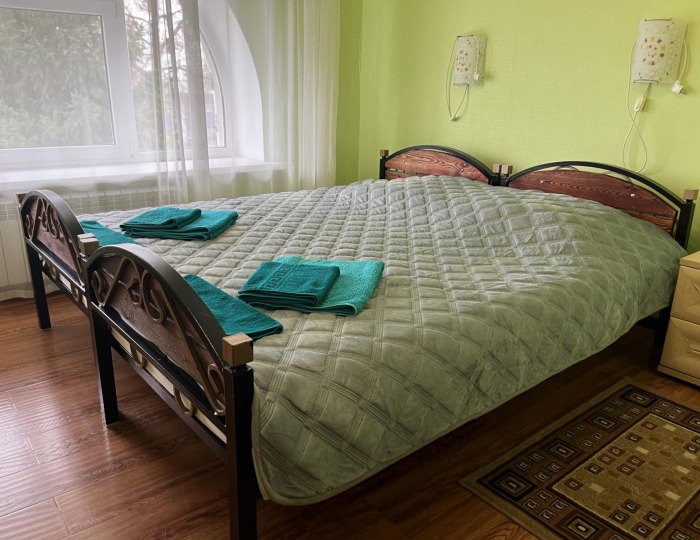 Номер стандарт эконом с 1 двуспальной кроватью - Отель «Визит» Старая Купавна