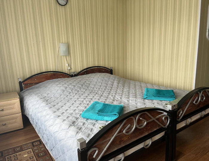 Номер стандарт эконом с 1 двуспальной кроватью - Отель «Визит» Старая Купавна