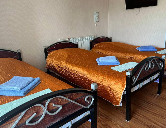 Номер стандарт с 3 односпальными кроватями - Отель «Визит» Старая Купавна