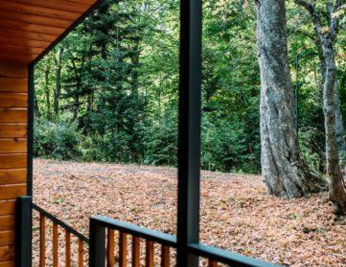 Домик Сосна - Глэмпинг «Яворова Park» Гузерипль