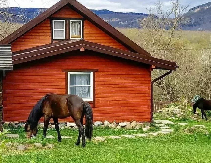 Коттедж «Дрозды» Хамышки