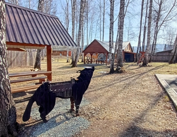 Услуги, развлечения и спорт - Гостевой дом «Митькина заимка» Катунь