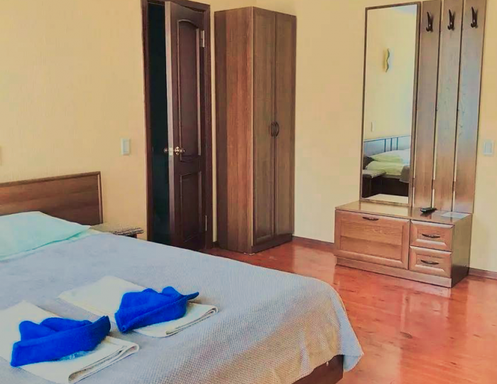 2-местный номер стандарт комфорт с 1 двуспальной кроватью - Гостевой дом «Семейный уют» Катунь