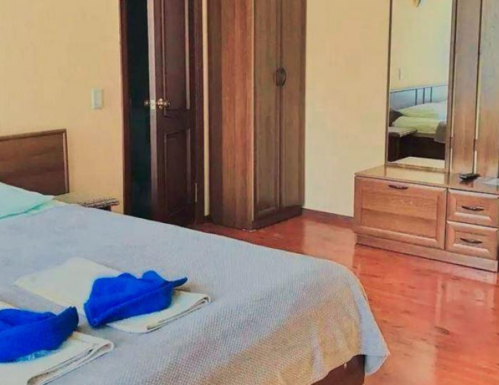 2-местный номер стандарт комфорт с 1 двуспальной кроватью - Гостевой дом «Семейный уют» Катунь