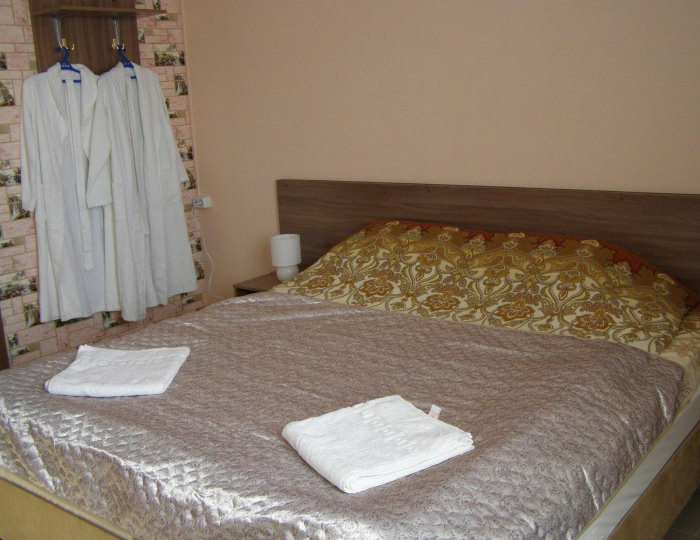 Номер эконом с 1 двуспальной кроватью - Мини-отель «Русь» Новоалтайск