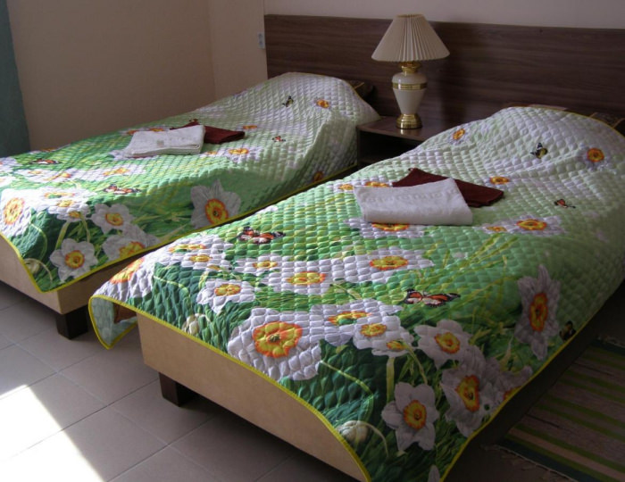 Номер эконом с 2 односпальными кроватями - Мини-отель «Русь» Новоалтайск