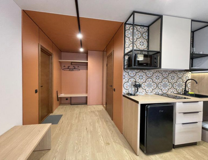 1-комнатные апартаменты улучшенные Апартаменты № 208 - Апарт-отель Apart Hotel-BRAUN / БРАУН Барнаул